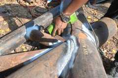 WhatsApp-Image-2025-08-01-at-10.18.08_c273bcaf